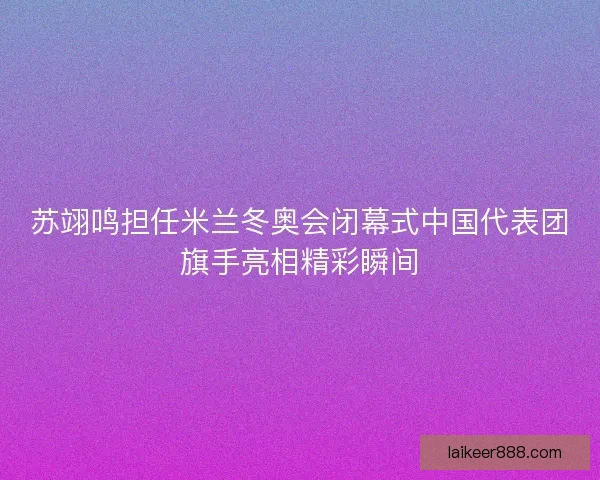 苏翊鸣担任米兰冬奥会闭幕式中国代表团旗手亮相精彩瞬间